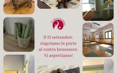 Ripartono le attività